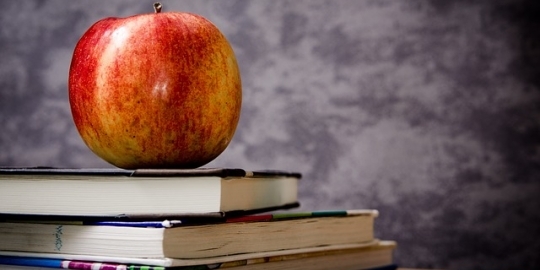 Appel op stapel boeken